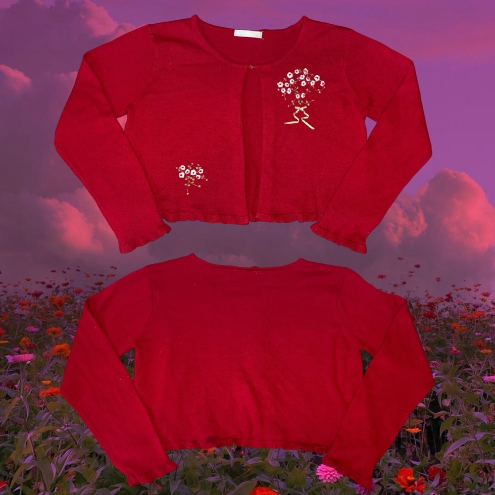 Red Floral Embroidered Cardigan